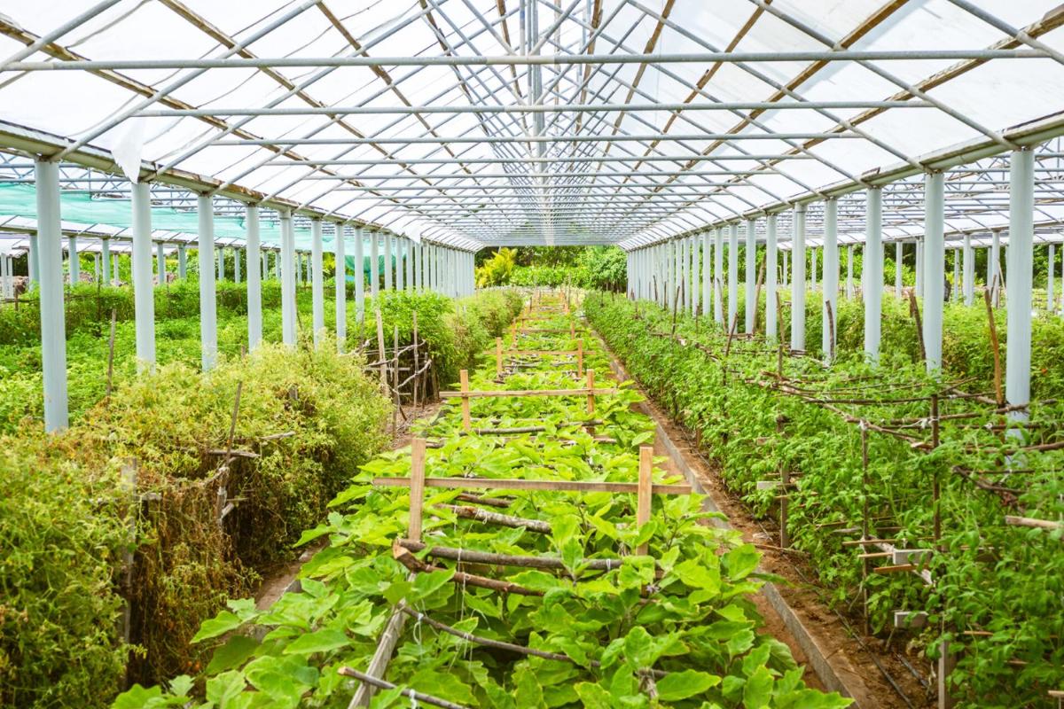 Four Seasons Resort Seychelles at Desroches Island