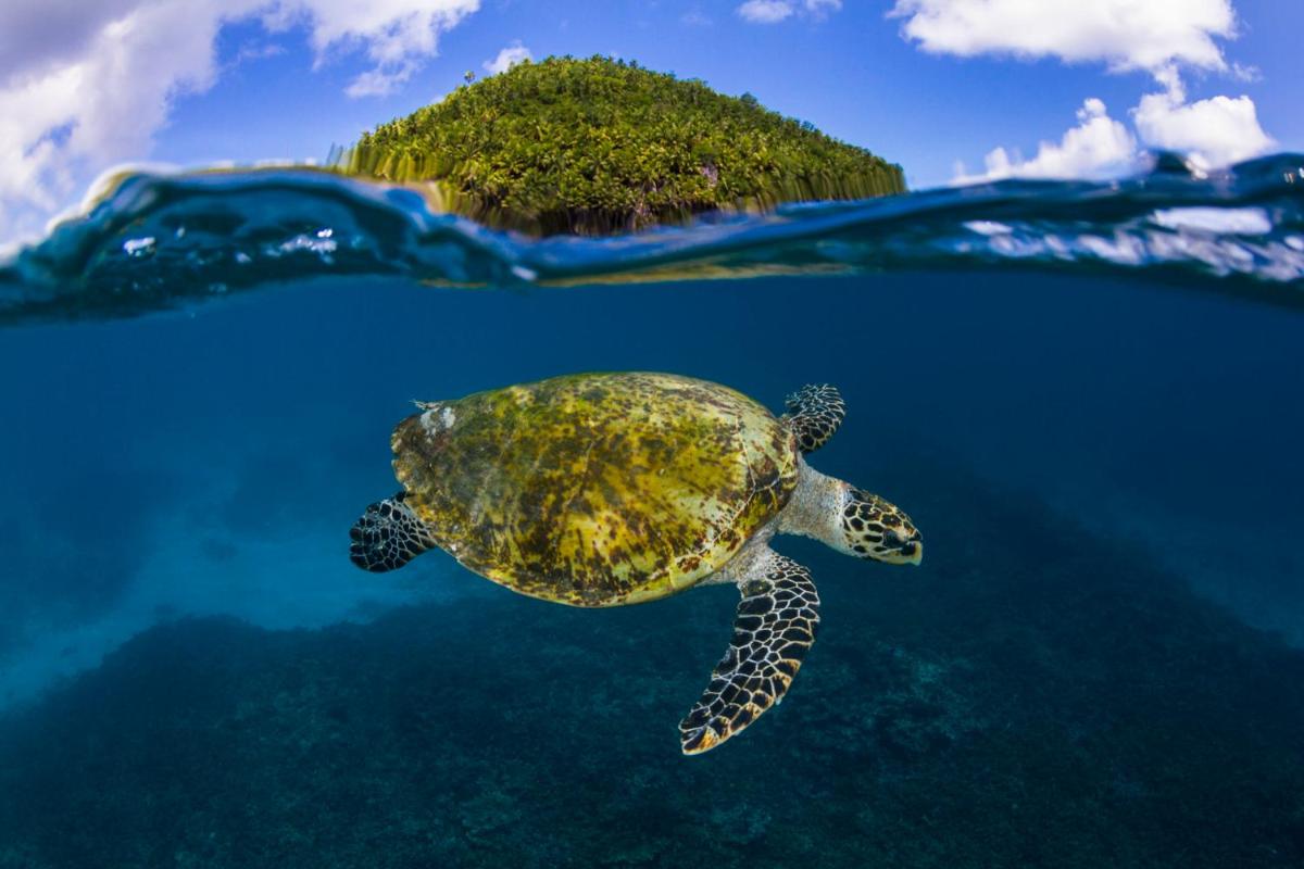 Four Seasons Resort Seychelles