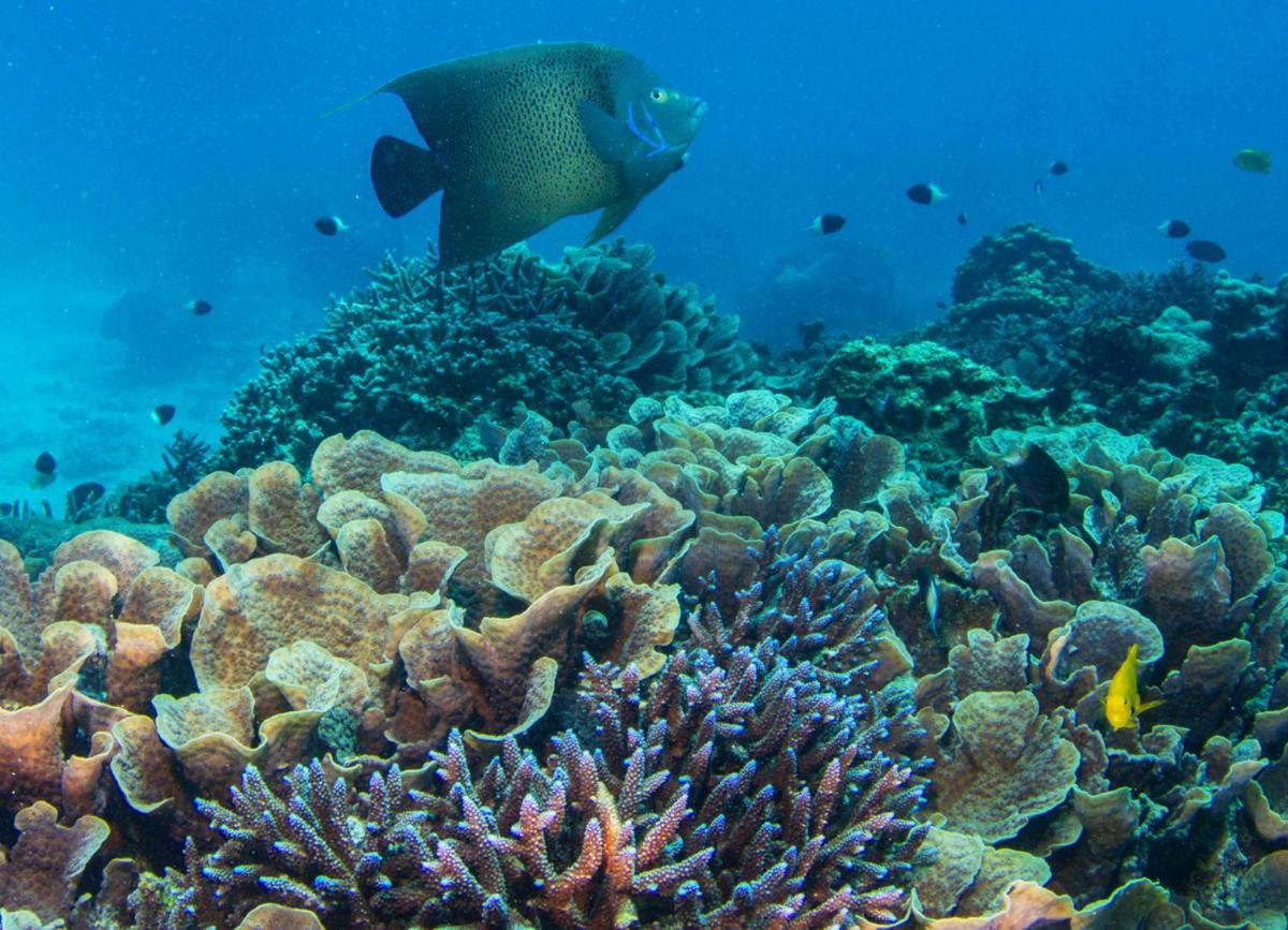 Four Seasons Resort Seychelles