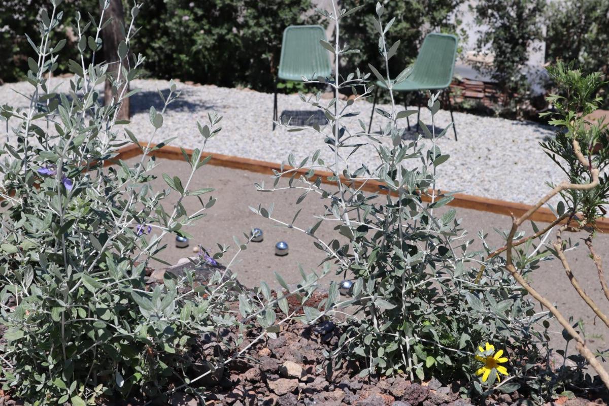 Frangimare - La Malandrina