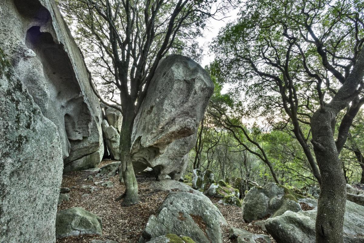 Gallicantu Stazzo Retreat