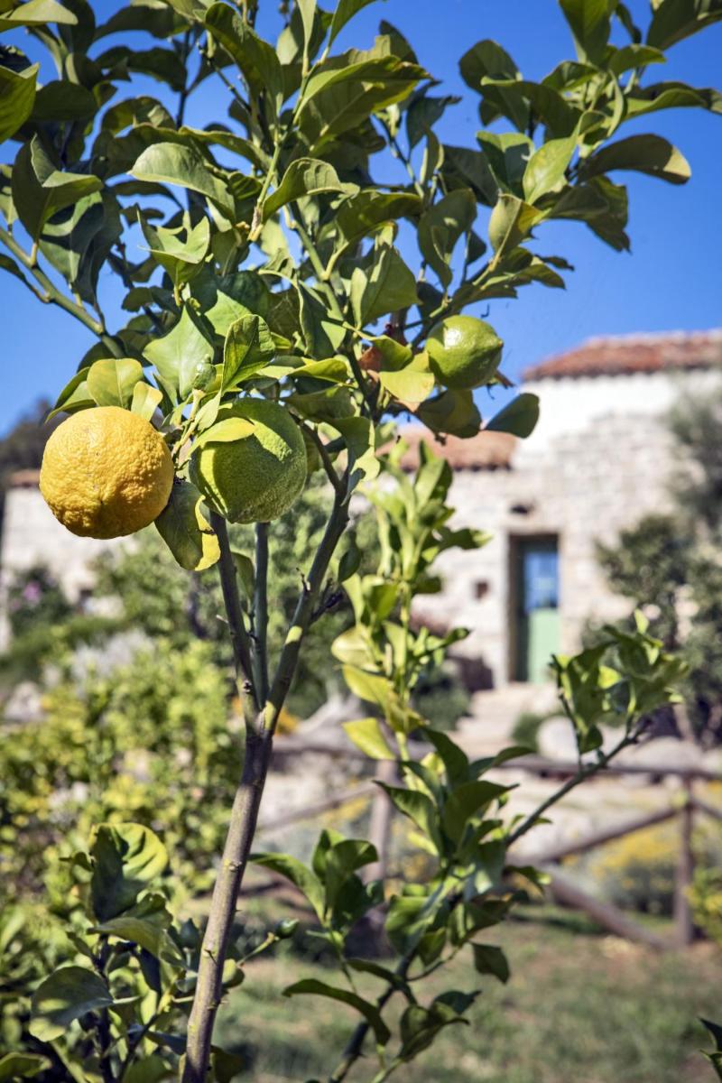 Gallicantu Stazzo Retreat