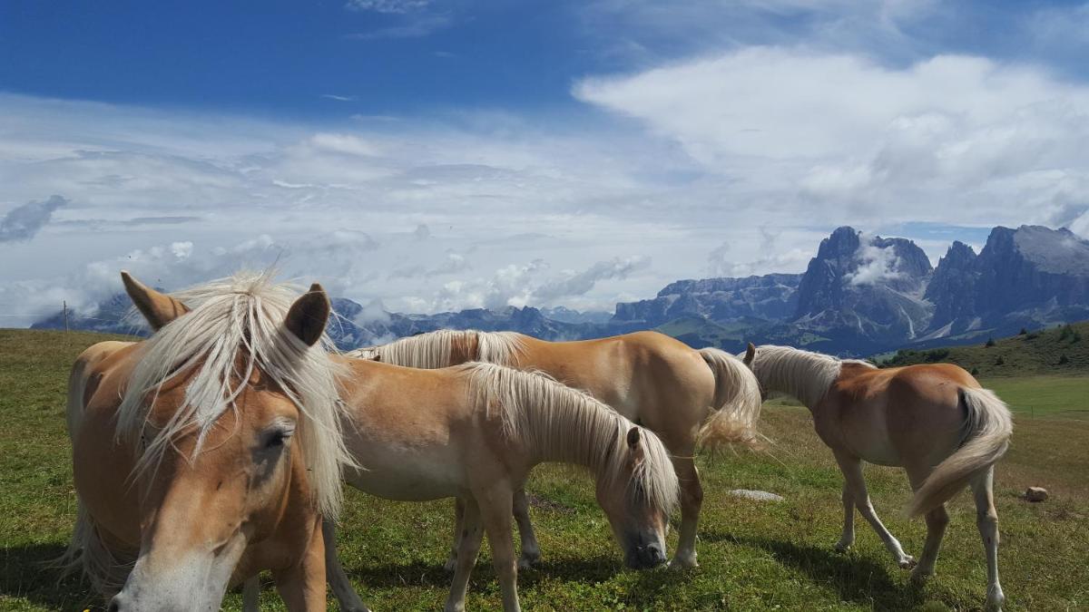Gartenhotel Völser Hof - Adults Only