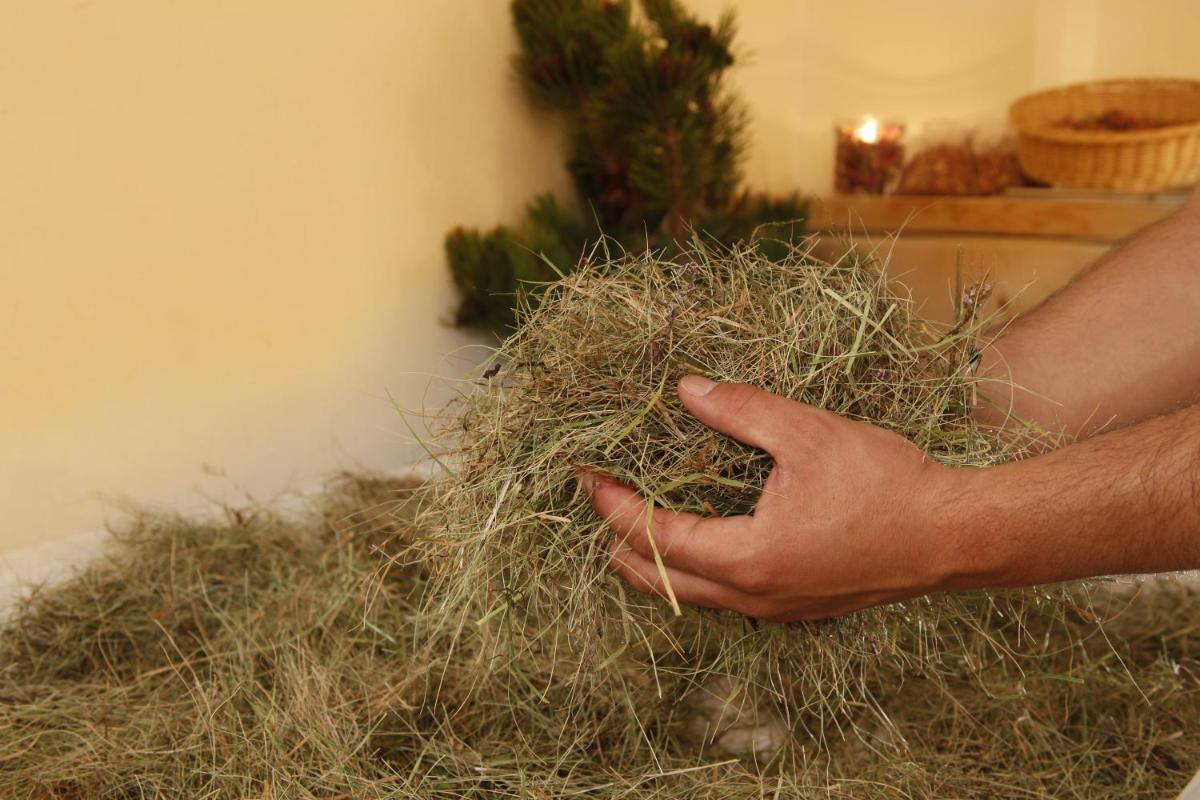 Gartenhotel Völser Hof - Adults Only