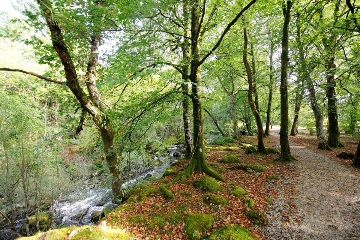 Gidleigh Park- A Relais & Chateaux Hotel