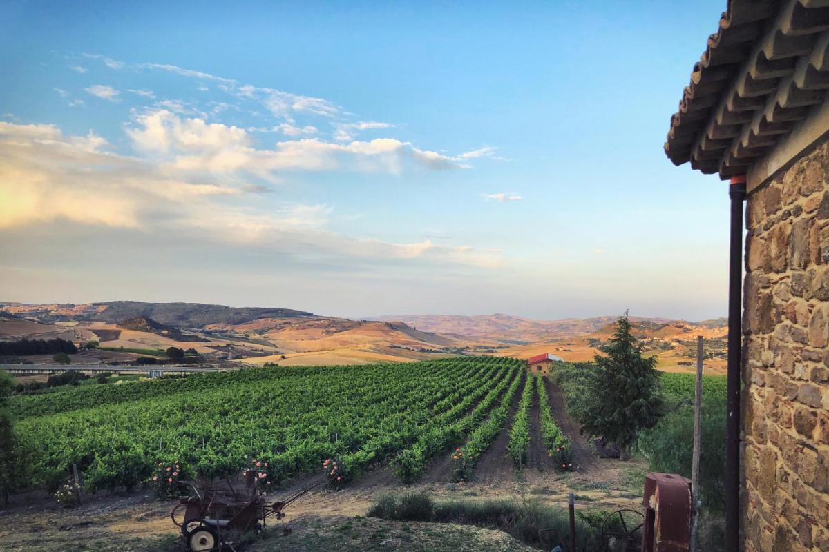 Tenute Gigliotto - B&B - Resort Wine - Agriturismo