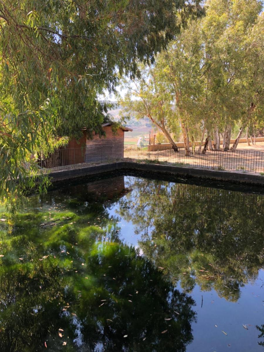 Tenute Gigliotto - B&B - Resort Wine - Agriturismo