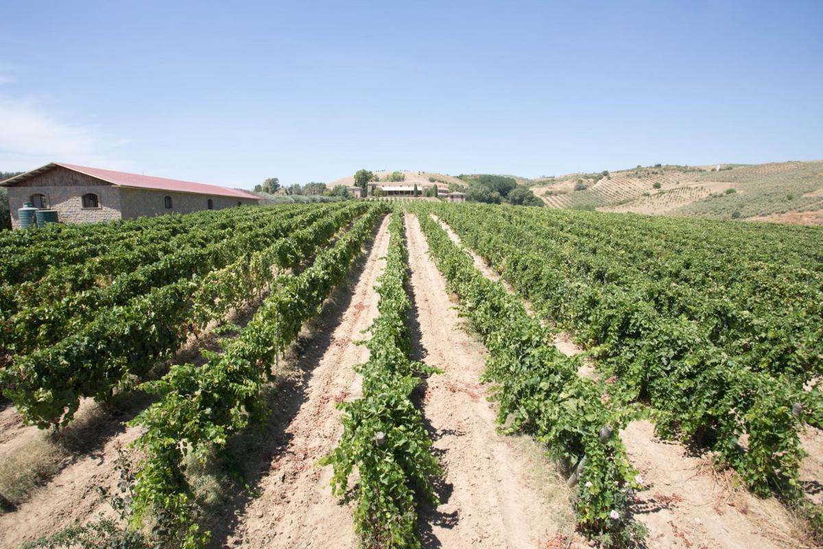 Tenute Gigliotto - B&B - Resort Wine - Agriturismo