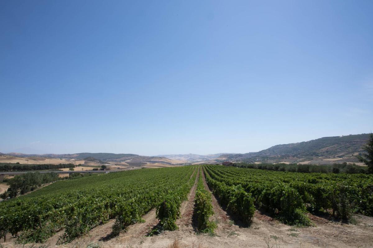 Tenute Gigliotto - B&B - Resort Wine - Agriturismo