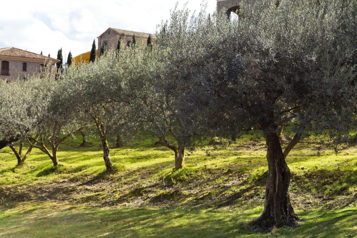 Tenute Gigliotto - B&B - Resort Wine - Agriturismo
