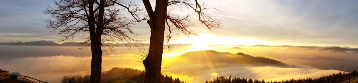 Gipfelhaus Magdalensberg