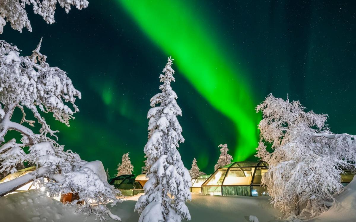 Golden Crown - Levin Iglut