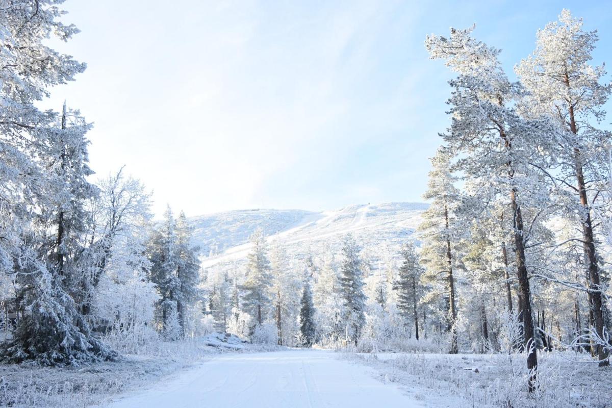 Golden Crown - Levin Iglut