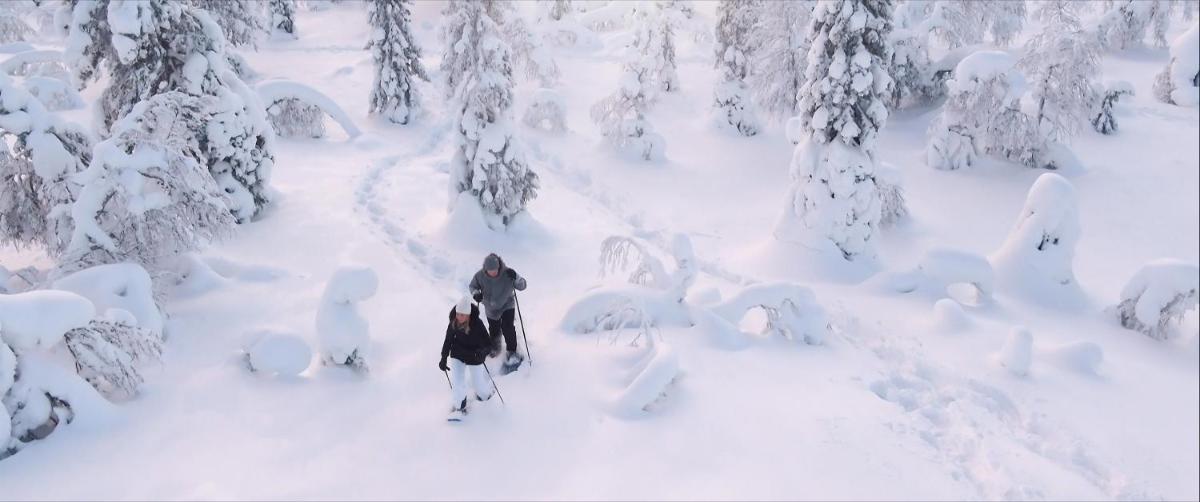 Golden Crown - Levin Iglut