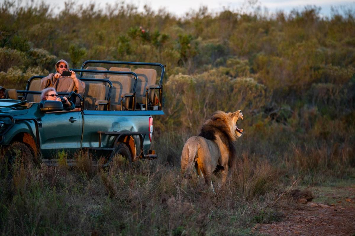 Gondwana Game Reserve