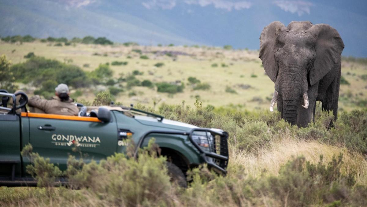 Gondwana Game Reserve