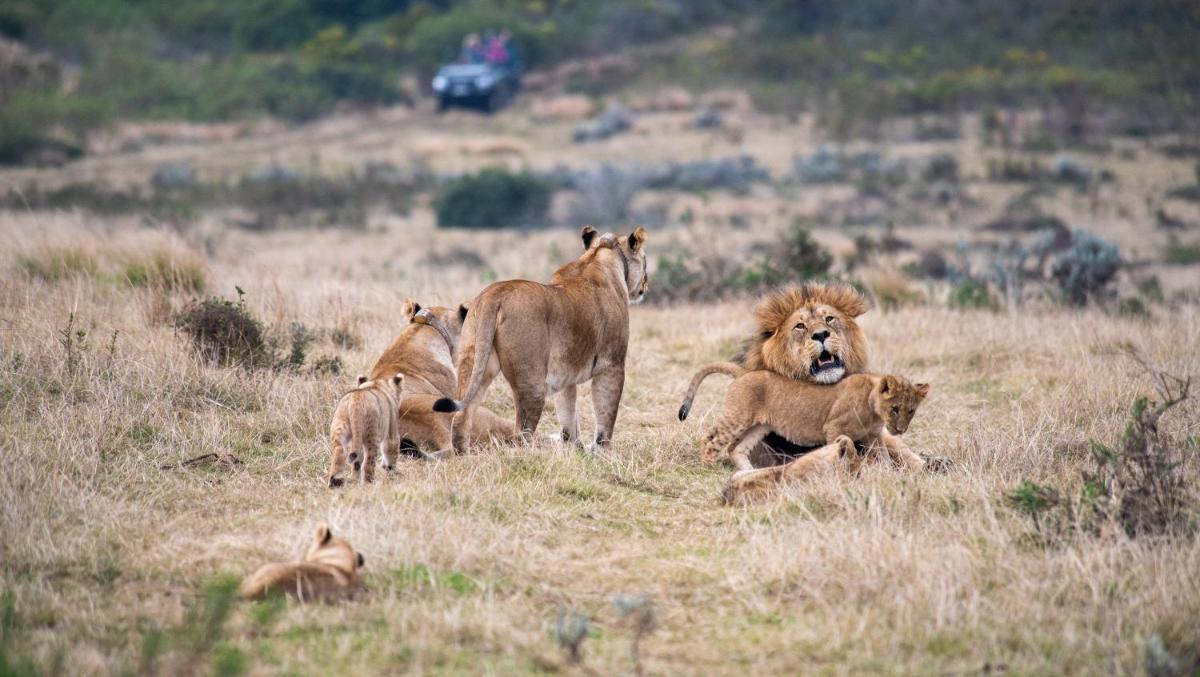 Gondwana Game Reserve