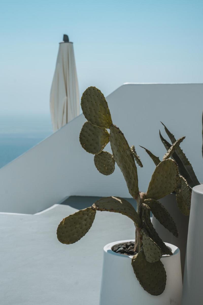 Grace Hotel, Auberge Collection