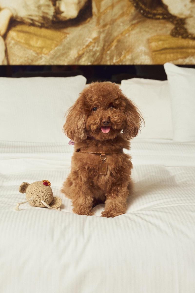 Palacio de los Duques Gran Meliá - The Leading Hotels of the World