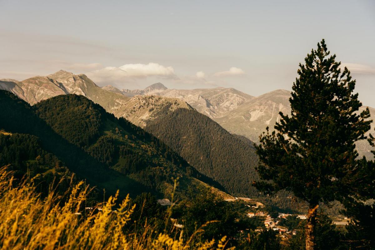 Grand Forest Metsovo - Leading Hotels of the World