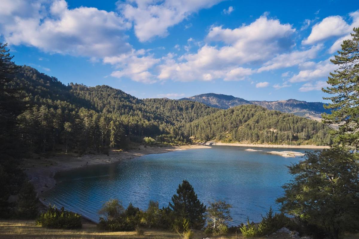 Grand Forest Metsovo - Leading Hotels of the World