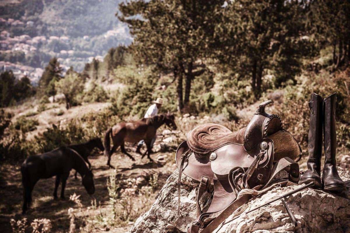 Grand Forest Metsovo - Leading Hotels of the World