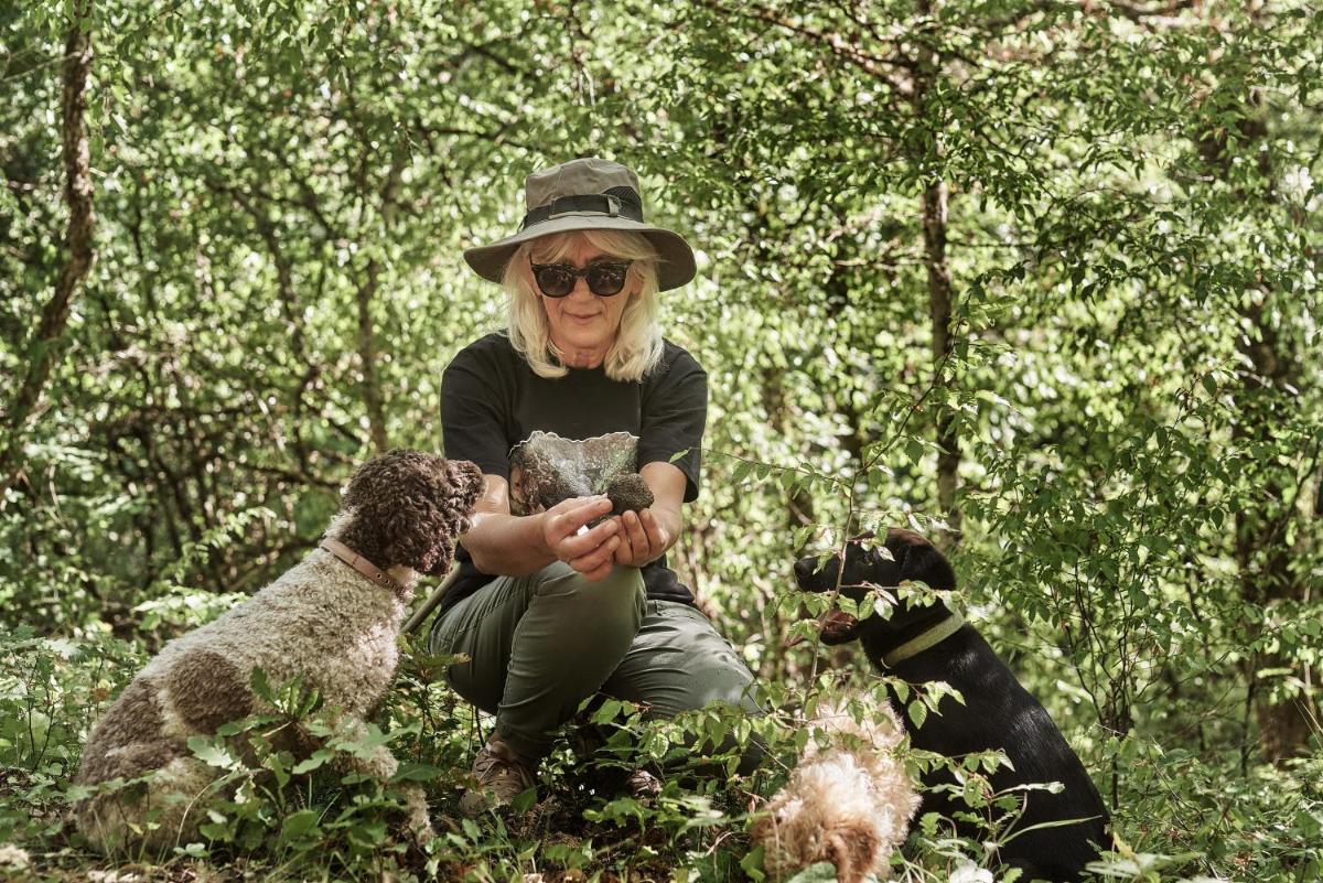 Grand Forest Metsovo - Leading Hotels of the World