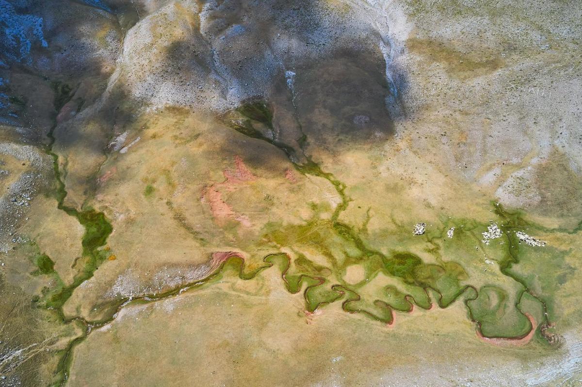 Grand Forest Metsovo - Leading Hotels of the World