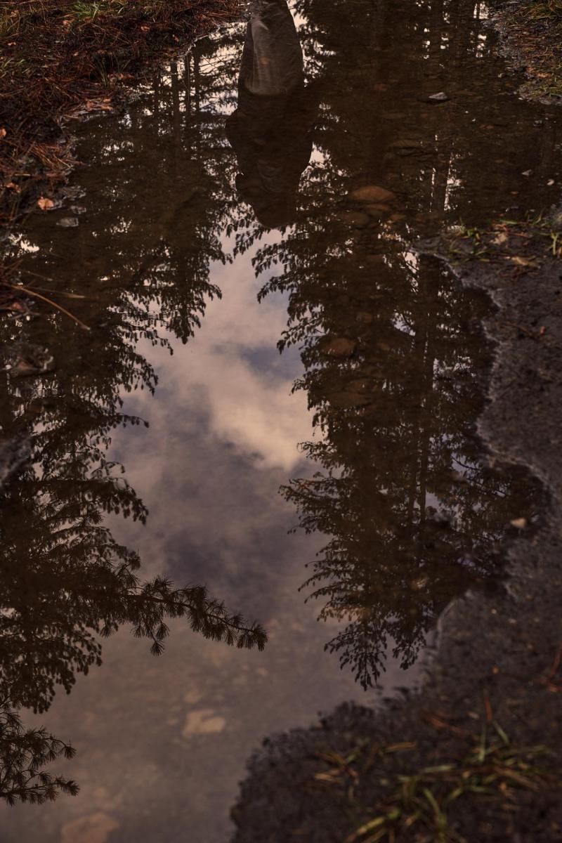 Grand Forest Metsovo - Leading Hotels of the World