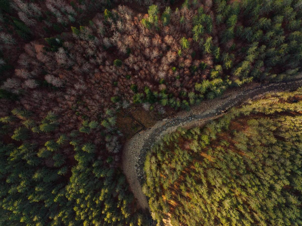 Grand Forest Metsovo - Leading Hotels of the World