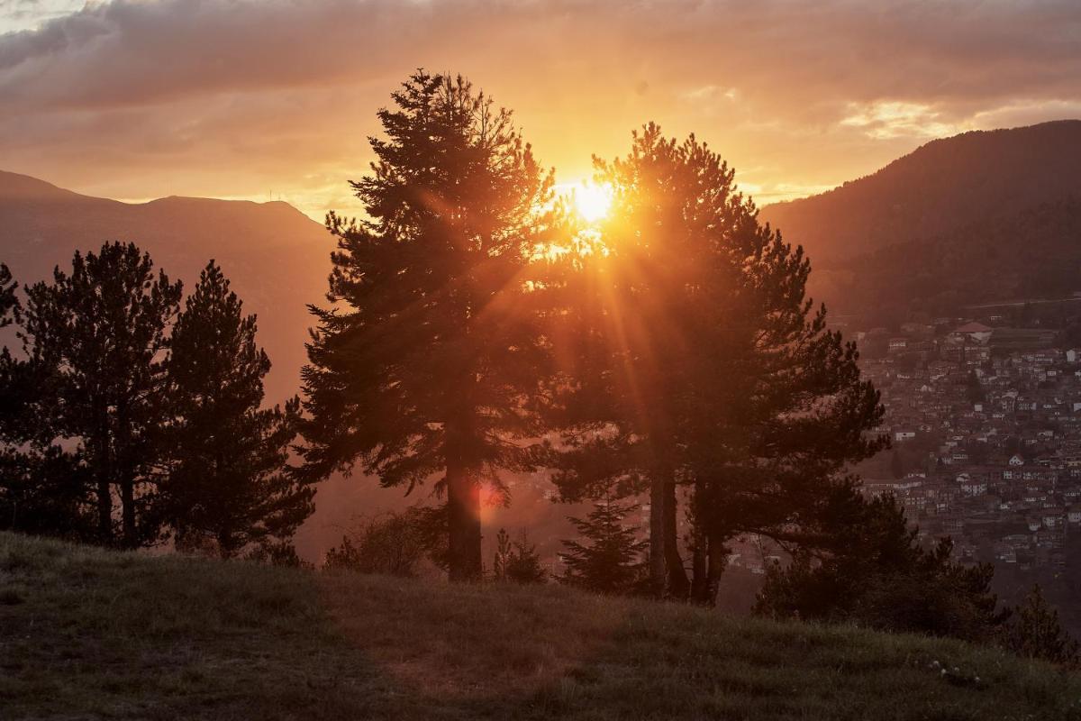 Grand Forest Metsovo - Leading Hotels of the World