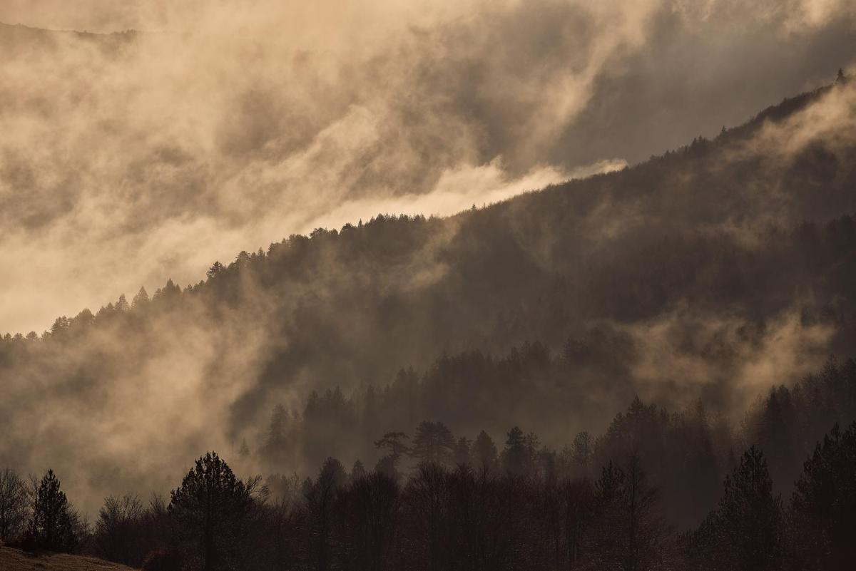 Grand Forest Metsovo - Leading Hotels of the World