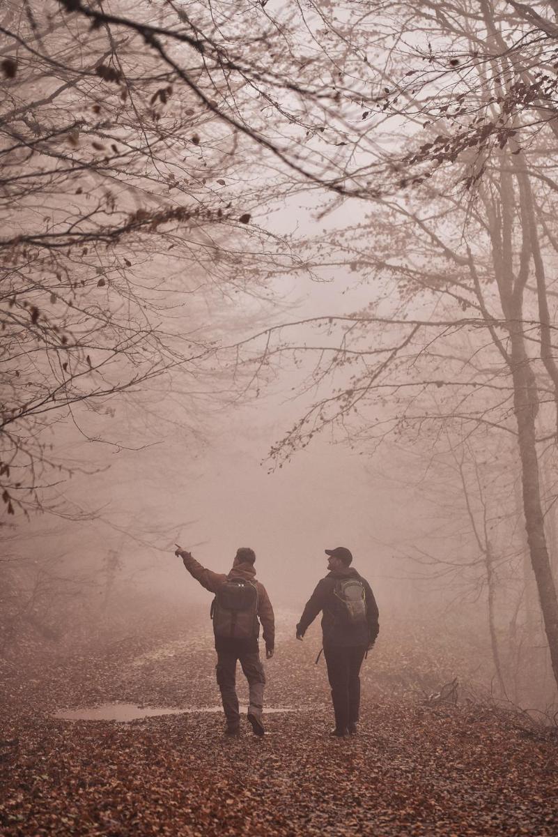 Grand Forest Metsovo - Leading Hotels of the World
