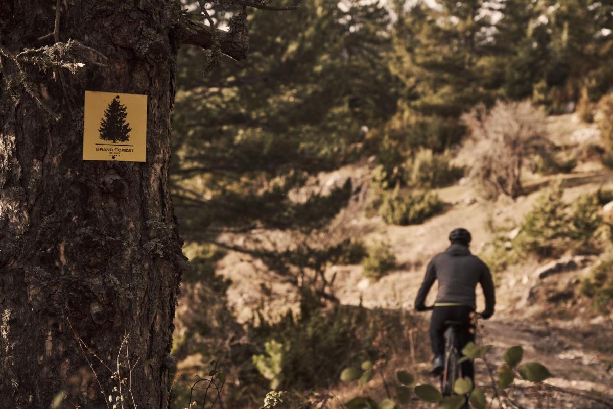 Grand Forest Metsovo - Leading Hotels of the World