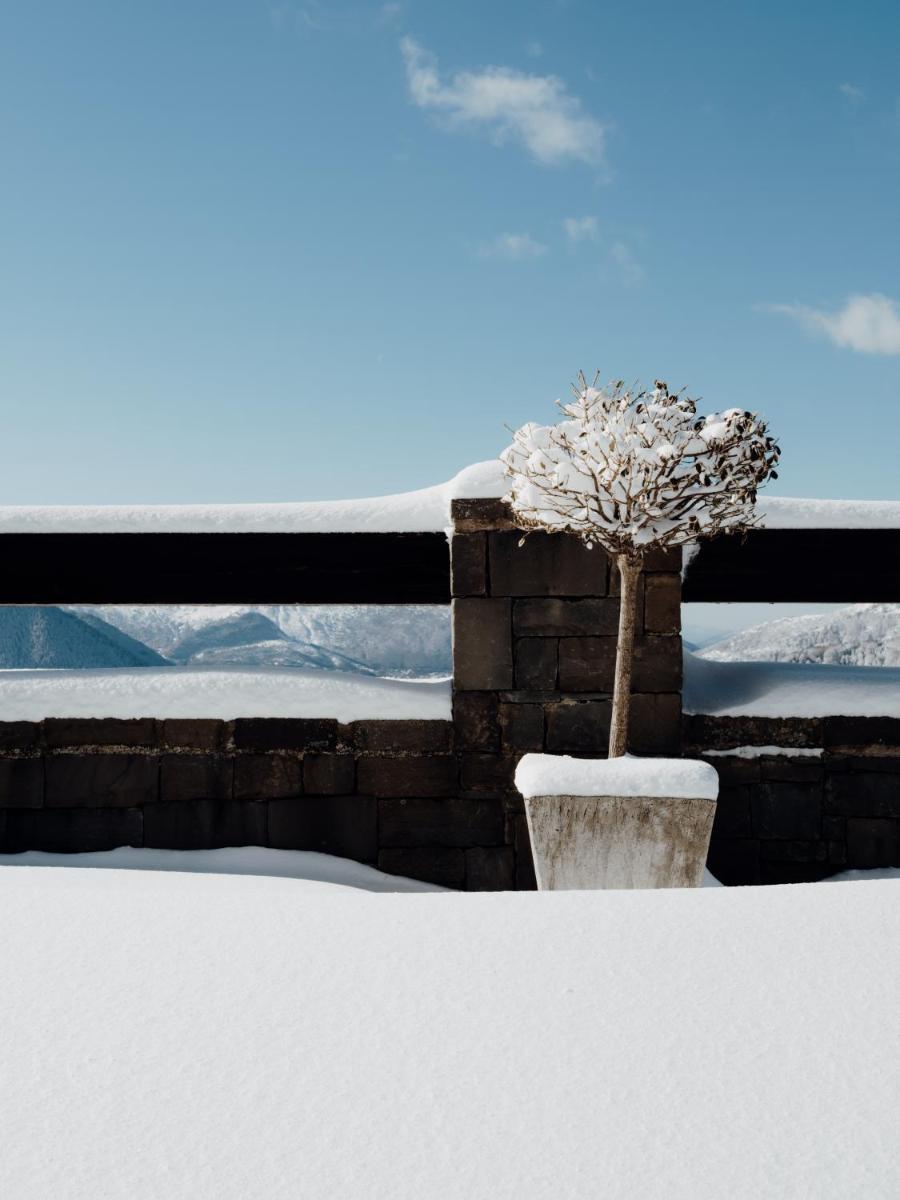 Grand Forest Metsovo - Leading Hotels of the World