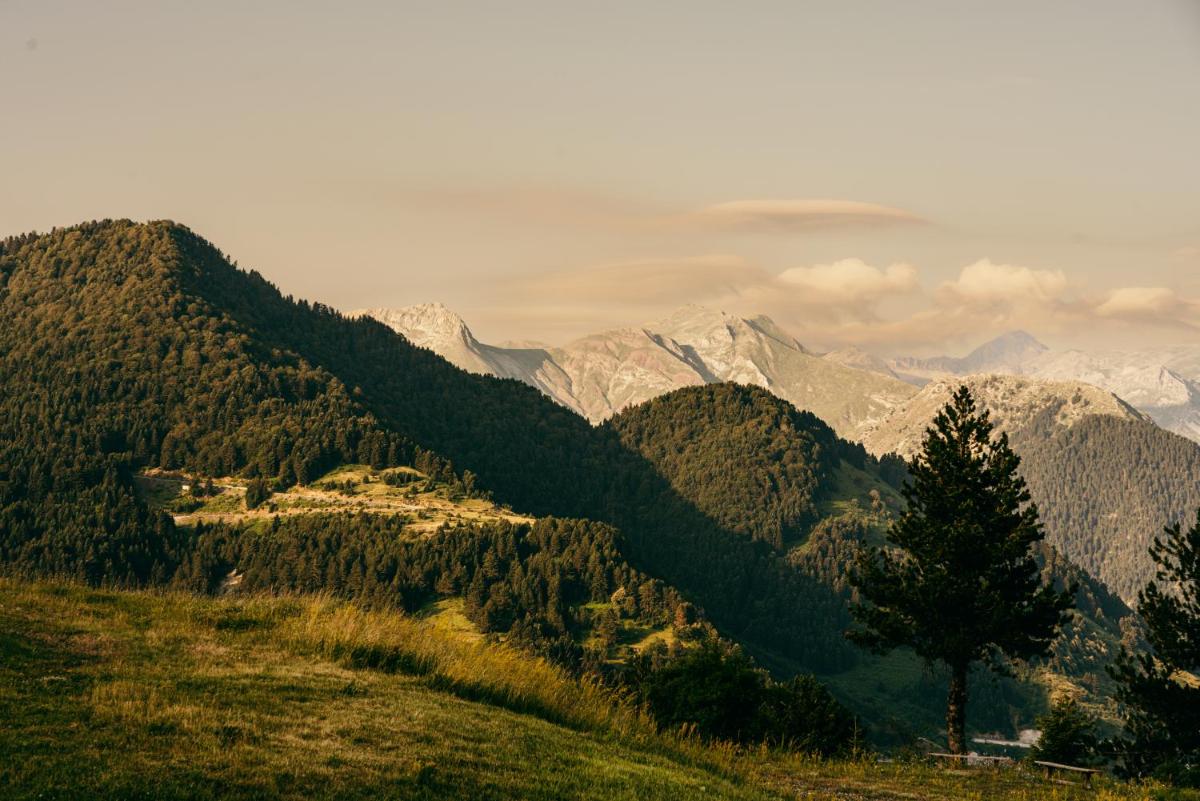 Grand Forest Metsovo - Leading Hotels of the World