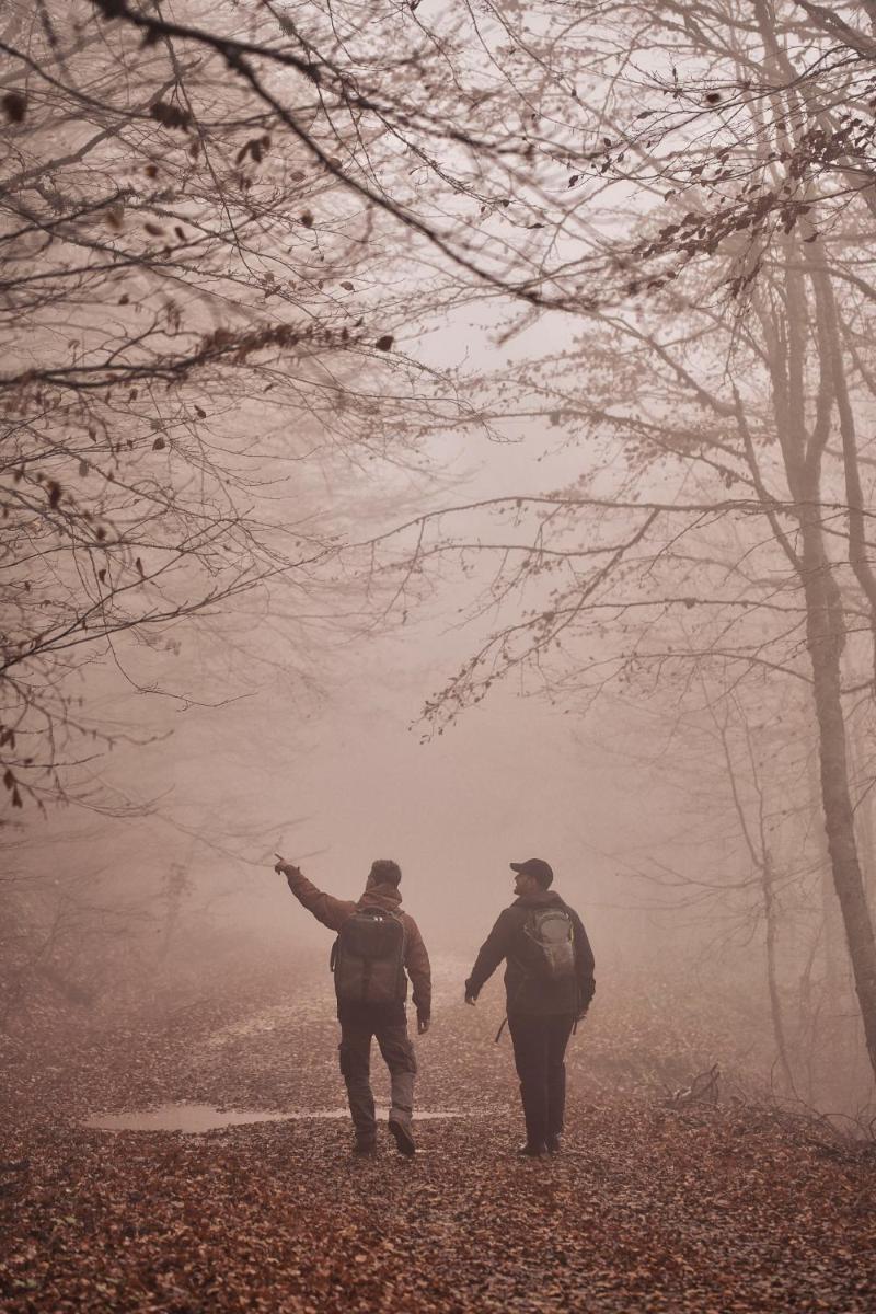 Grand Forest Metsovo - Leading Hotels of the World