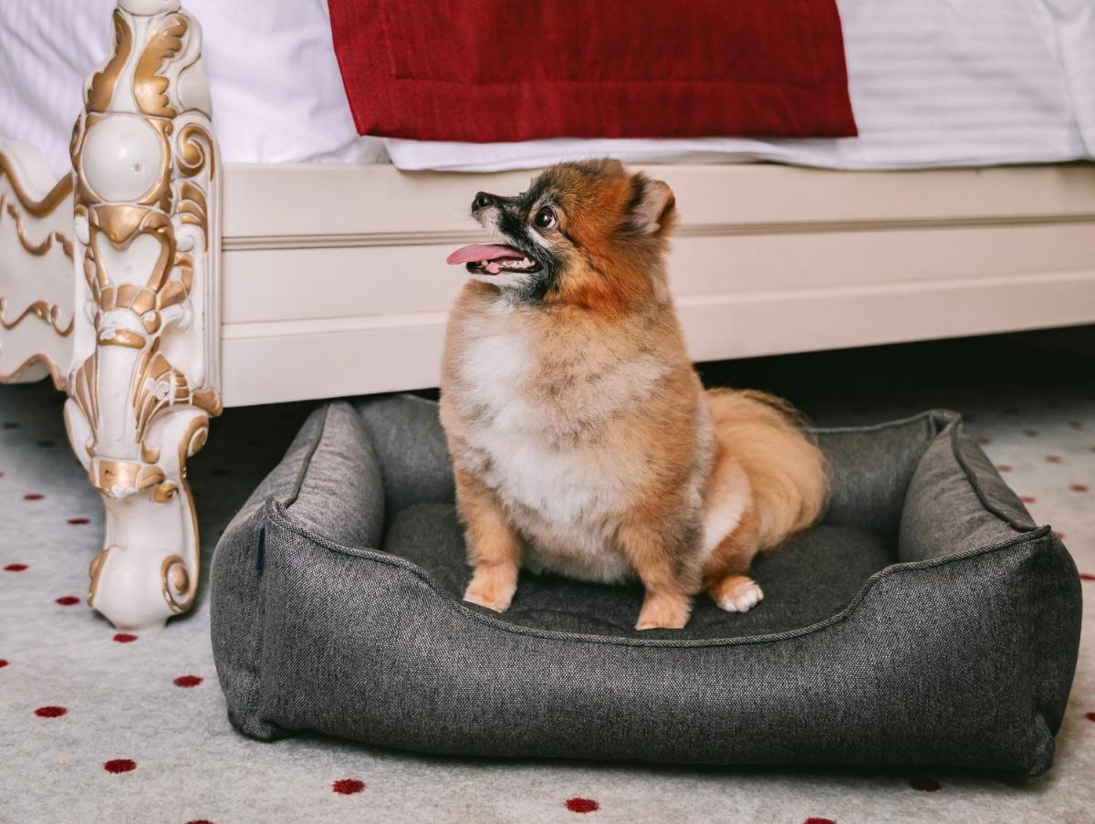 Grand Hotel Lviv Casino & Spa