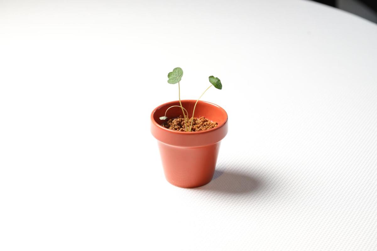 Grand Hotel Royal E Golf