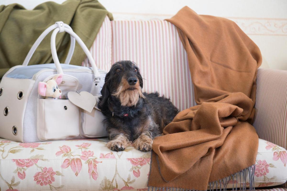 Grand Hotel Royal E Golf