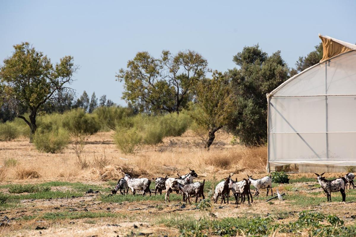 Grand House - Relais & Chateaux