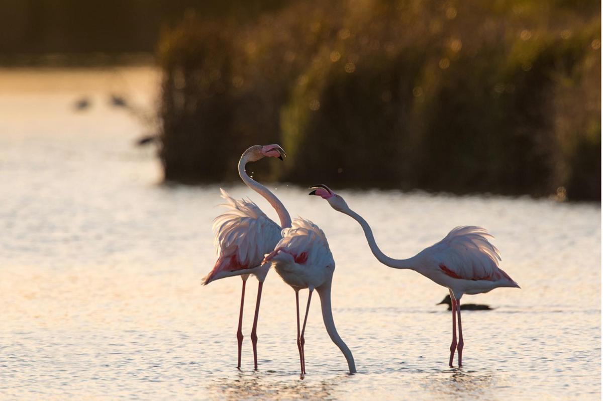 Grand House - Relais & Chateaux