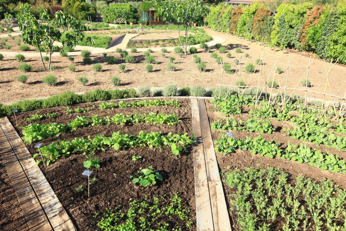 Grand Hôtel De Cala Rossa & Spa Nucca