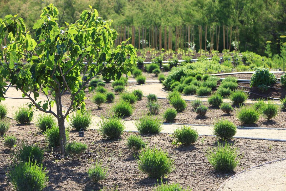 Grand Hôtel De Cala Rossa & Spa Nucca