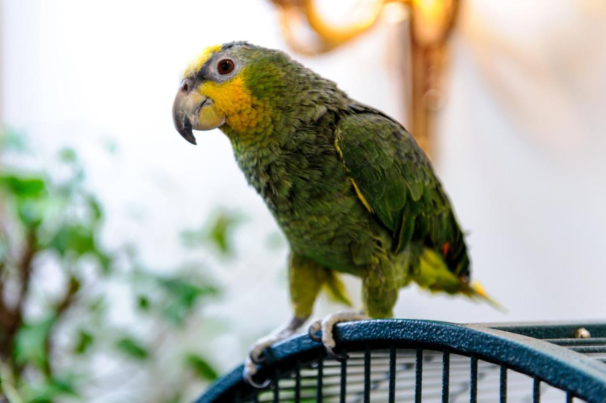 Grand Palace Hotel - Small Luxury Hotels of the World