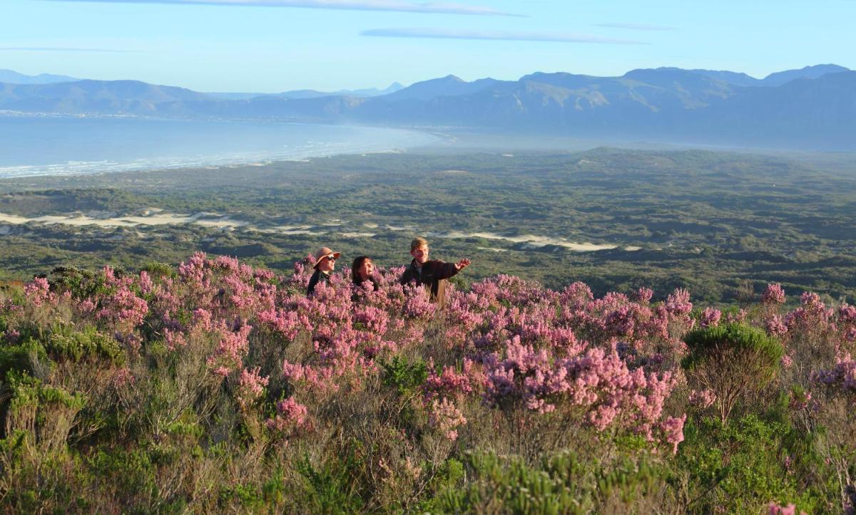 Grootbos Private Nature Reserve