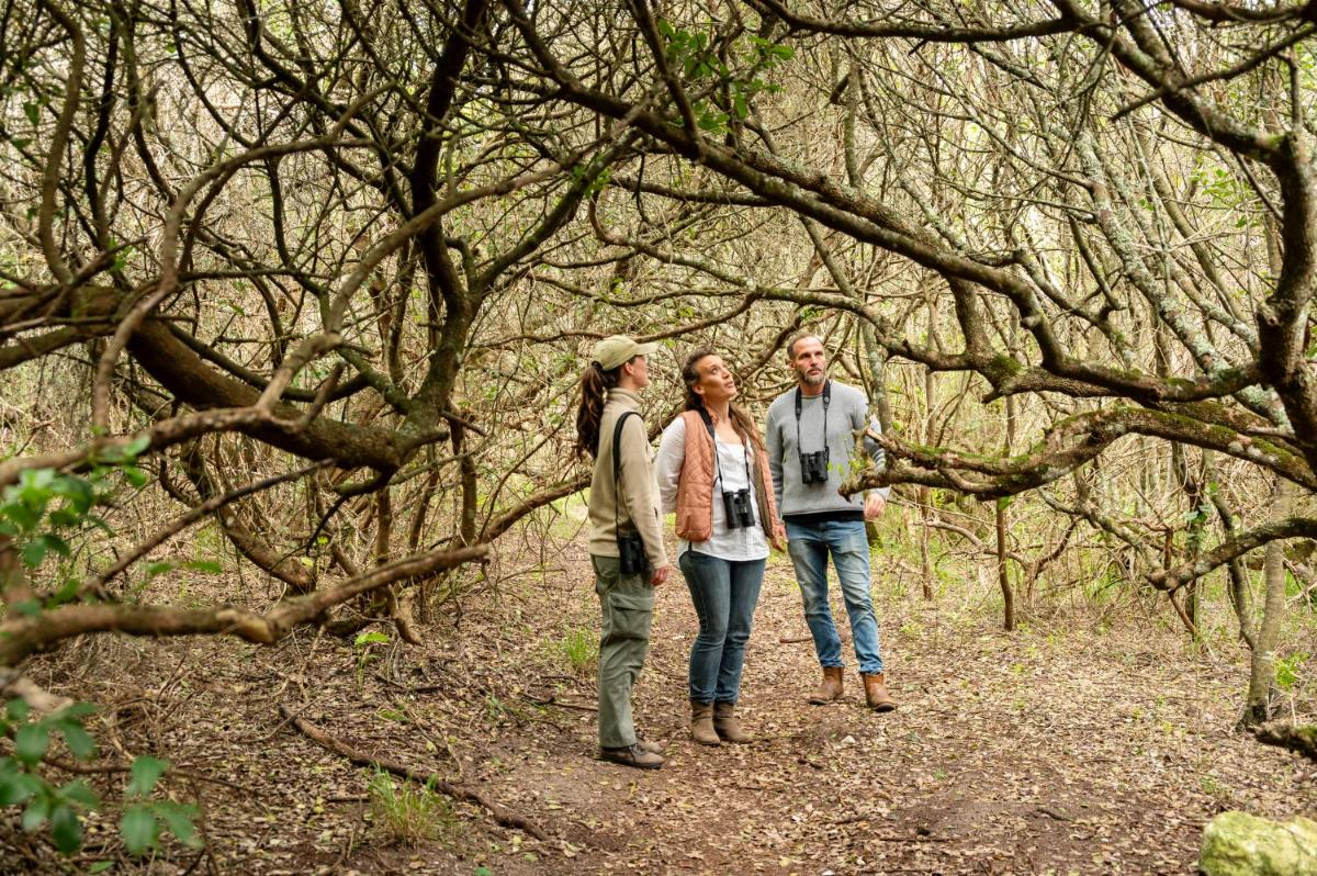 Grootbos Private Nature Reserve