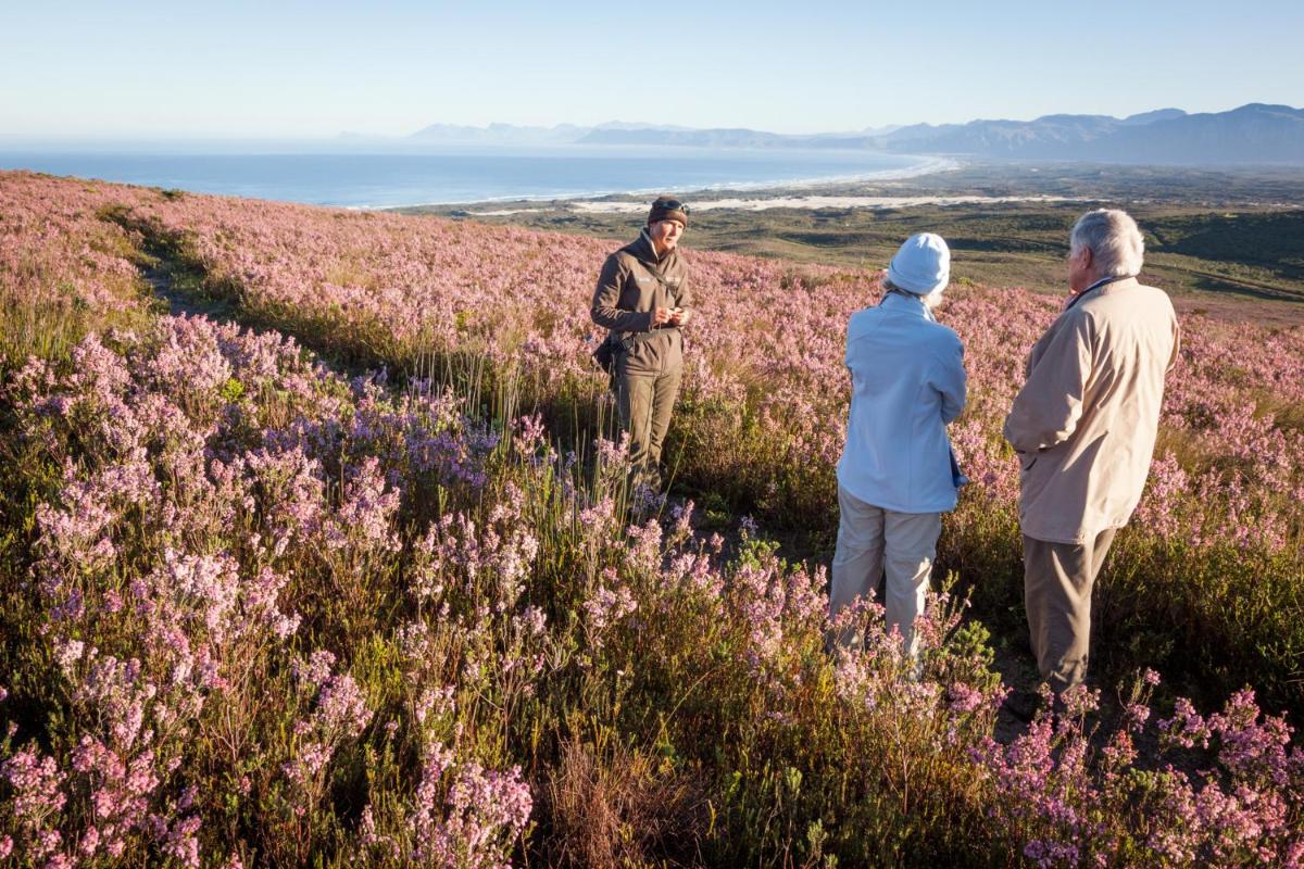 Grootbos Private Nature Reserve
