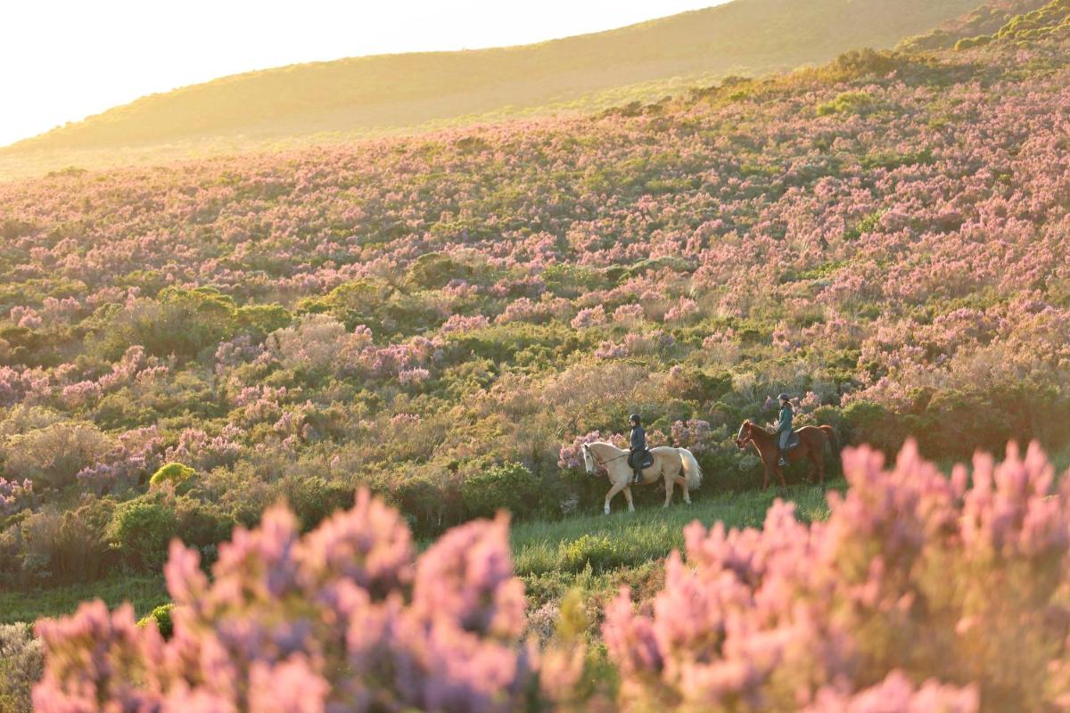 Grootbos Private Nature Reserve