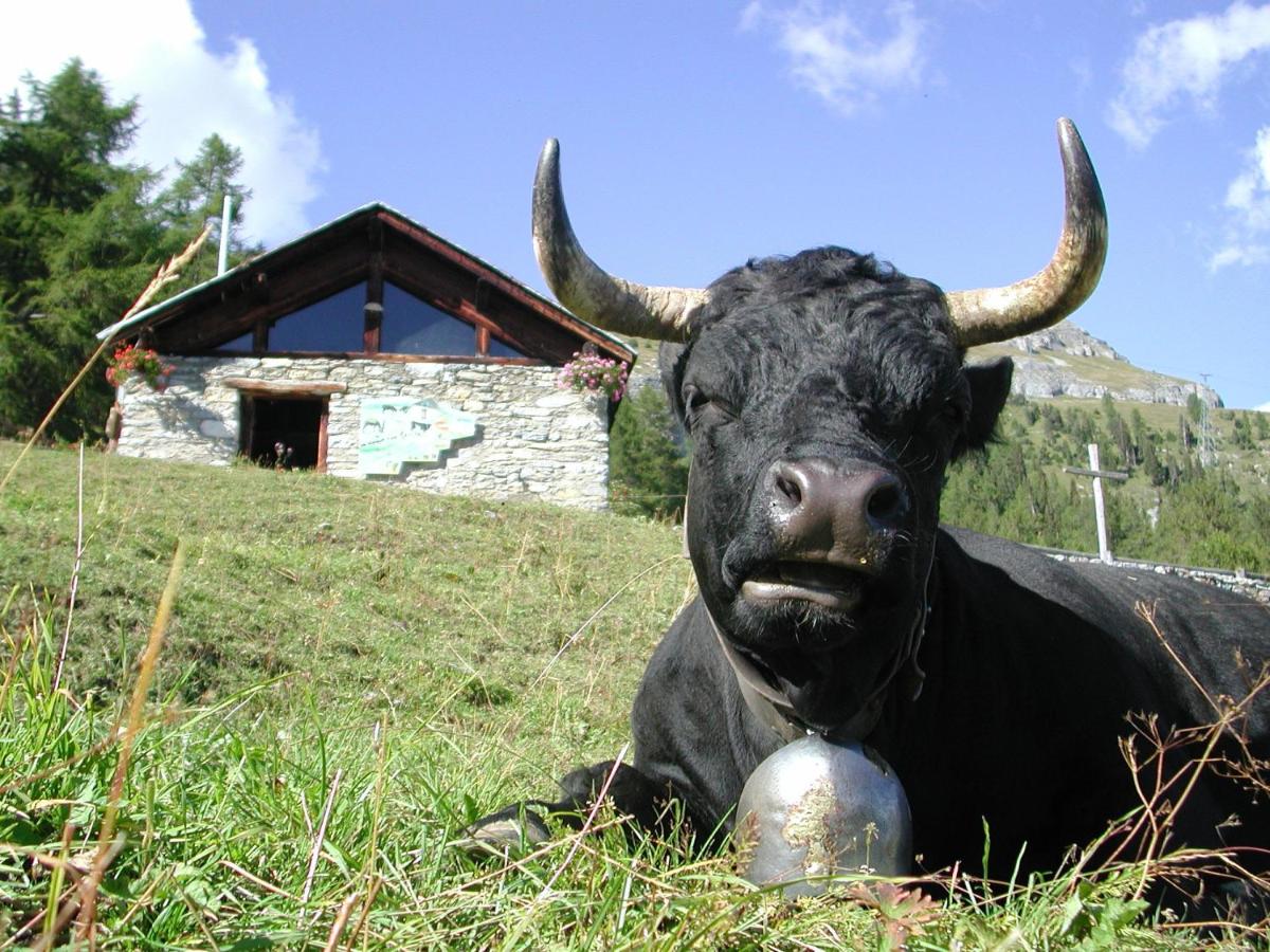 Guarda Golf Hotel & Residences